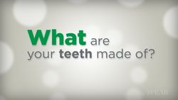 What are your teeth made of?