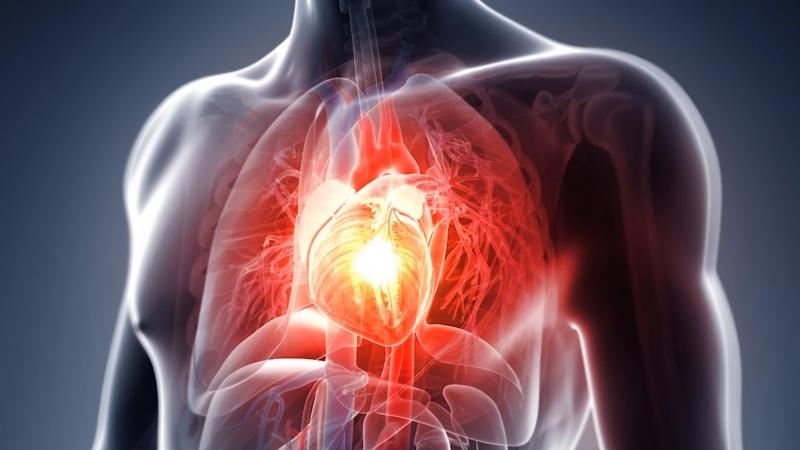 Airway Screening Tools: Cardiopulmonary Coupling | Spear Education