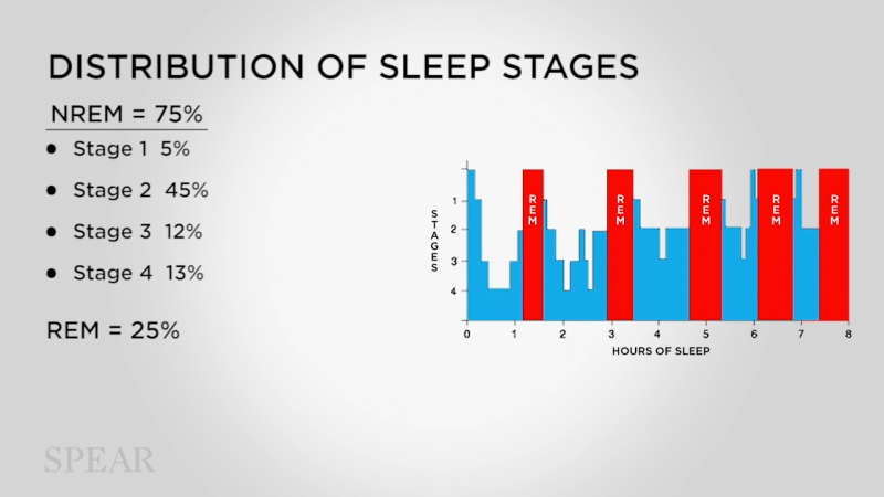 The Mystery of Sleep | Spear Education